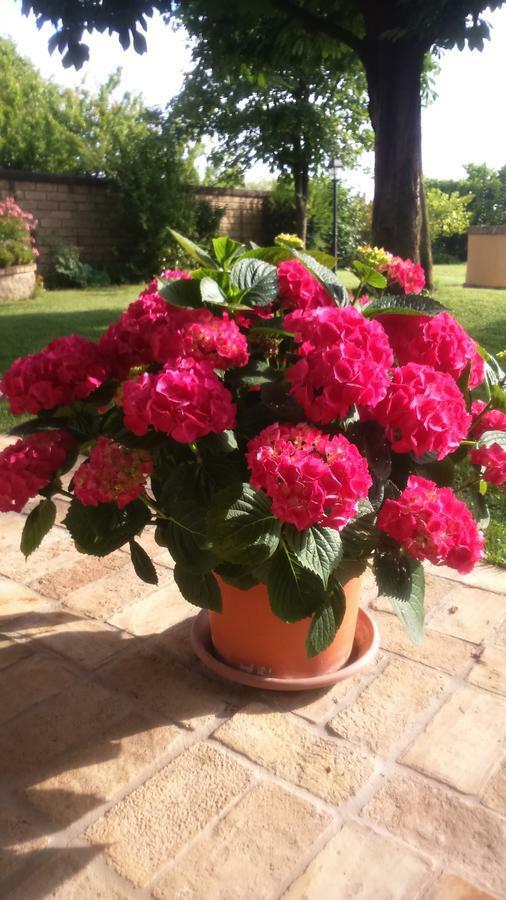 B&B Le Querce Riano  Dış mekan fotoğraf